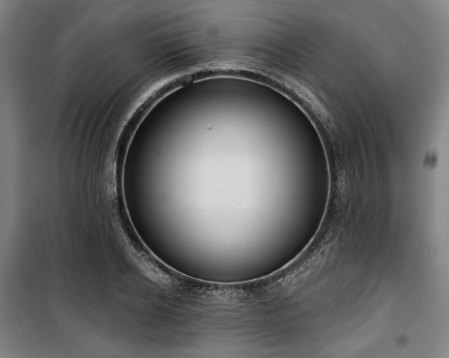 X0000100330934200806051531