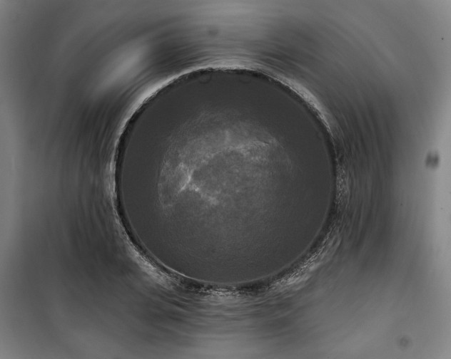 X0000100330935200806051531