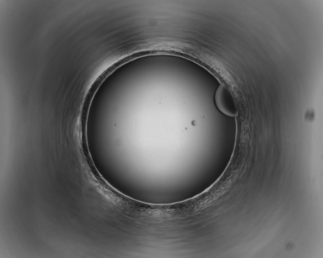 X0000100330936200806051531