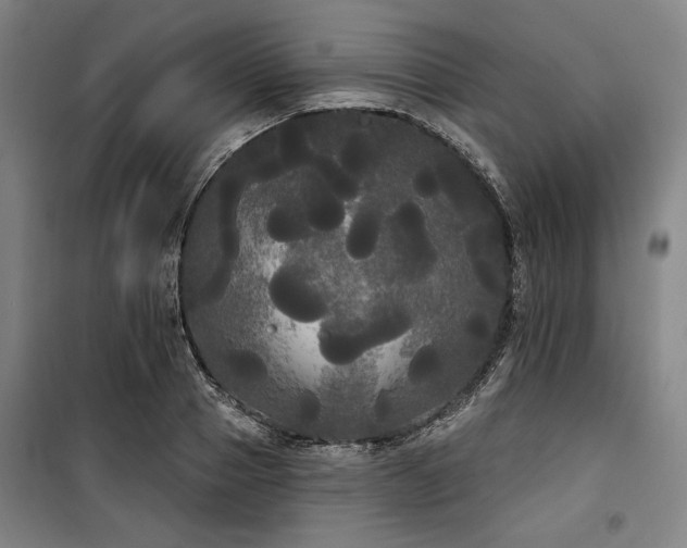 X0000100330937200806051531