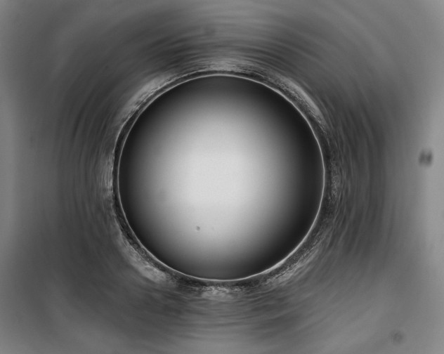 X0000100330938200806051531
