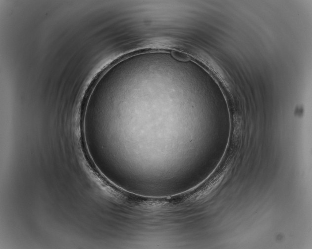 X0000100330939200806051531