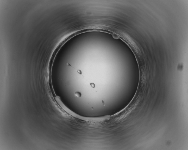 X0000100330940200806051531