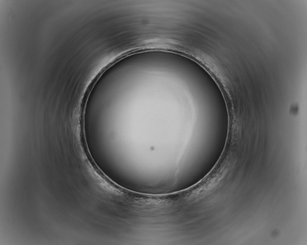 X0000100330941200806051531