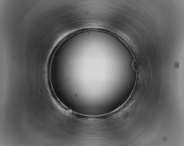 X0000100330942200806051531