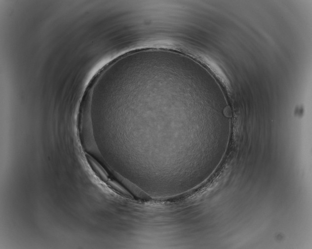 X0000100330944200806051531