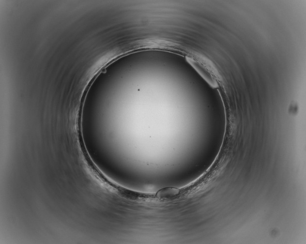 X0000100330946200806051531