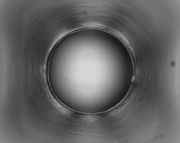 X0000100330947200806051531