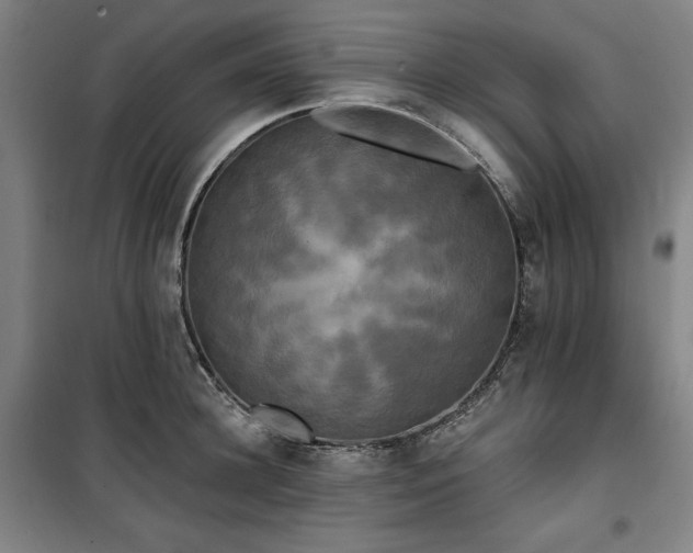 X0000100330948200806051531