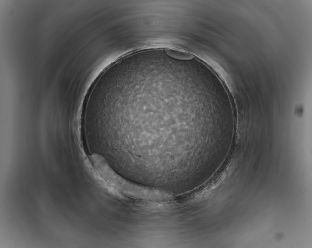 X0000100330949200806051531