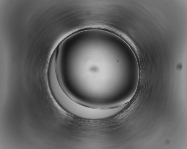 X0000100330951200806051531