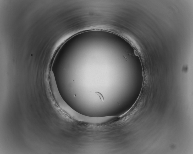 X0000100330952200806051531
