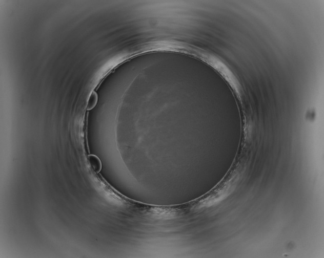 X0000100330954200806051531