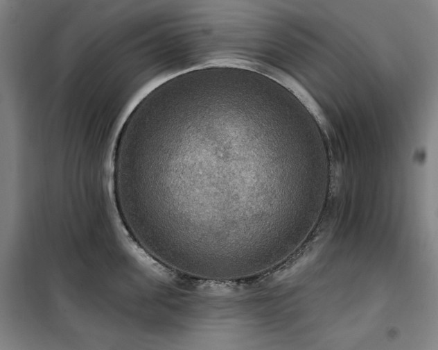 X0000100330955200806051531