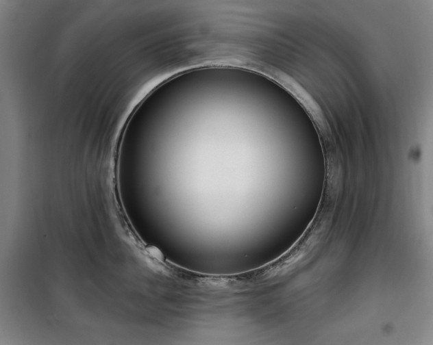 X0000100330956200806051531