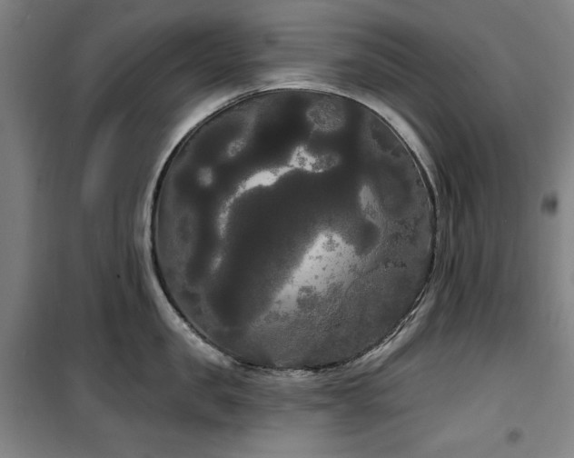 X0000100330957200806051531