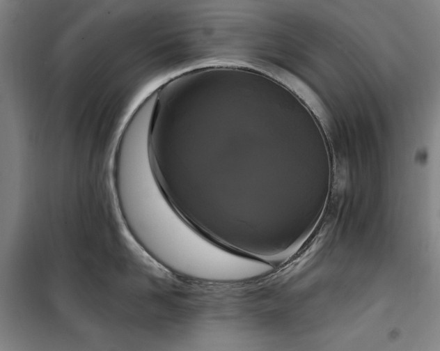 X0000100330958200806051531