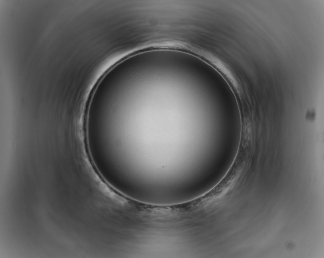 X0000100330959200806051531