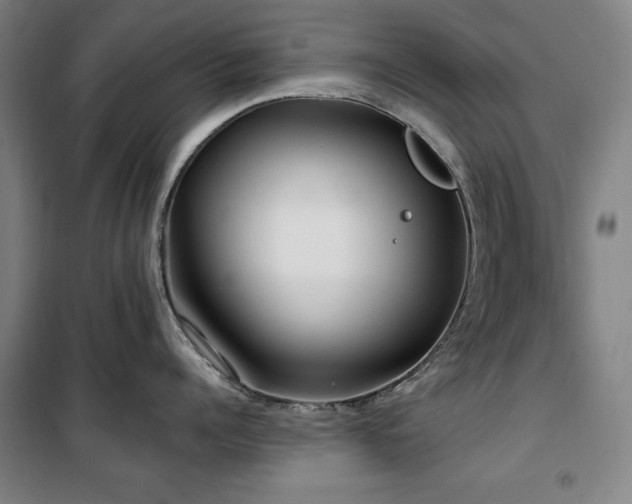 X0000100330960200806051531