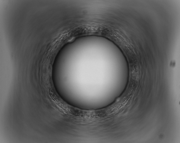 X0000100330961200806051530