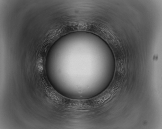 X0000100330962200806051530