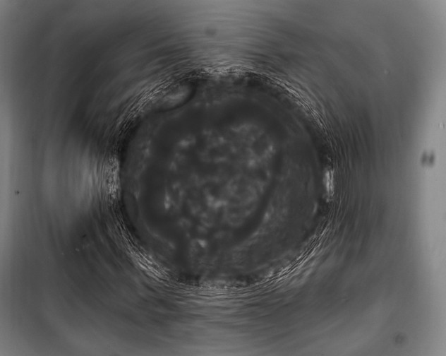 X0000100330963200806051530