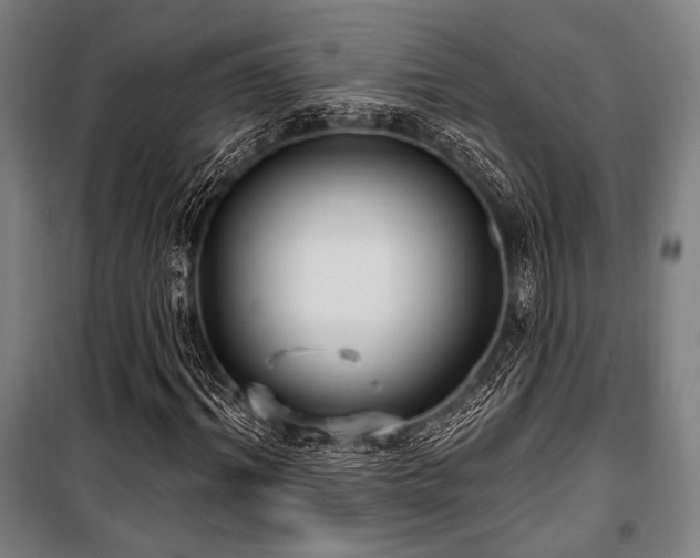 X0000100330964200806051530