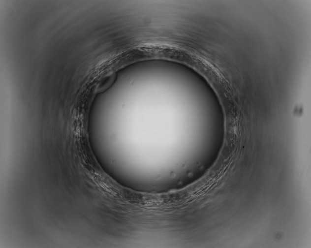 X0000100330965200806051530
