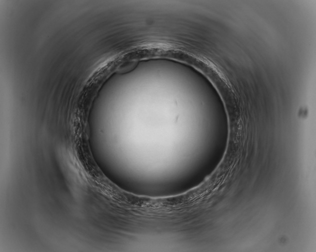 X0000100330967200806051530
