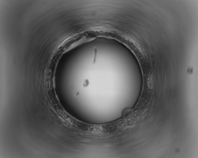 X0000100330968200806051530