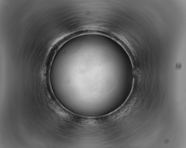 X0000100330971200806051530