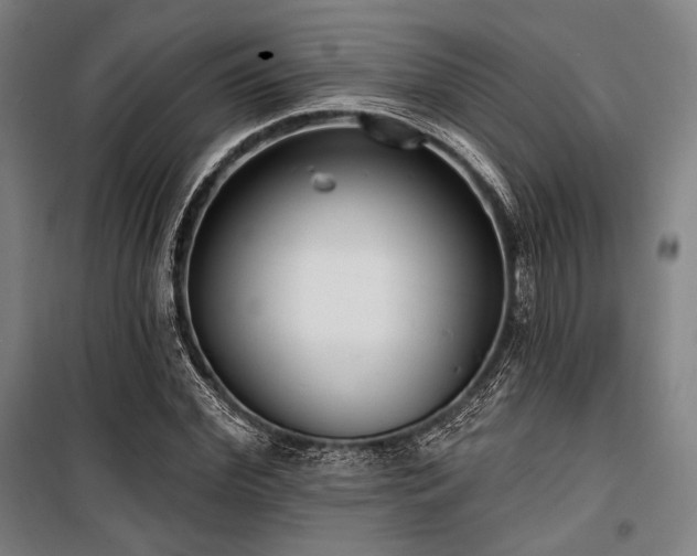 X0000100330972200806051530