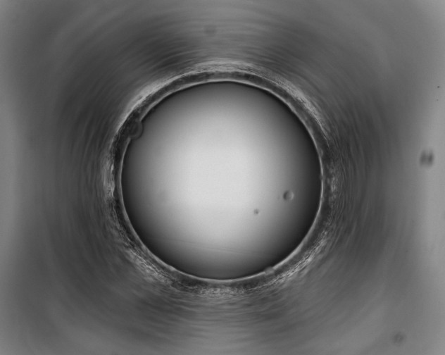 X0000100330973200806051530