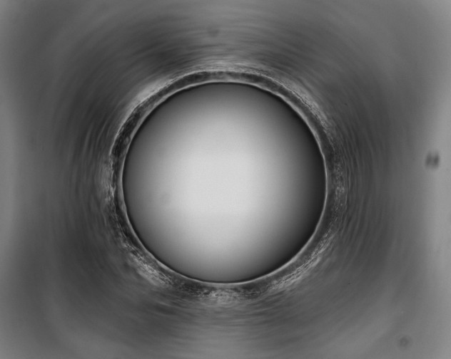 X0000100330974200806051530