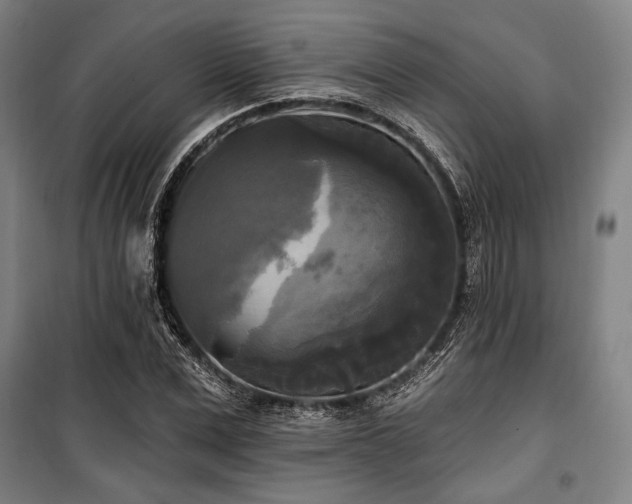 X0000100330975200806051530