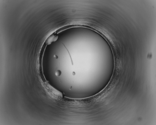 X0000100330980200806051530