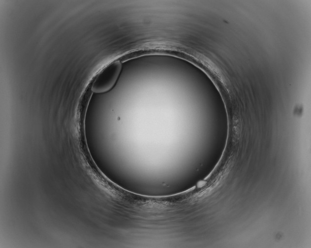 X0000100330981200806051530