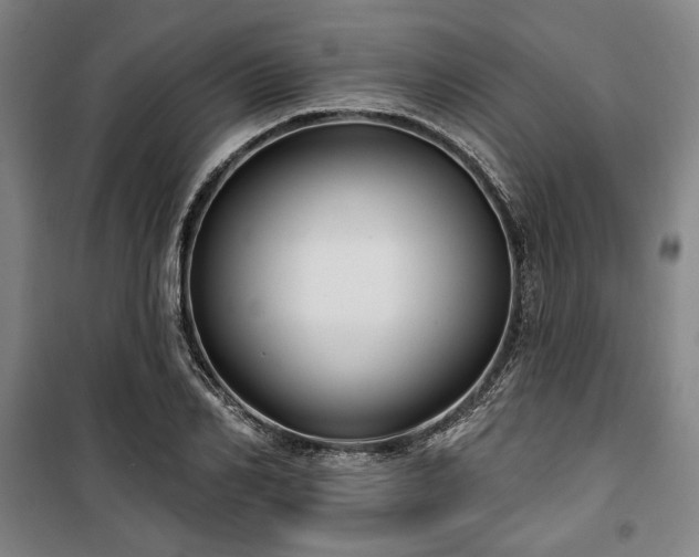 X0000100330982200806051530