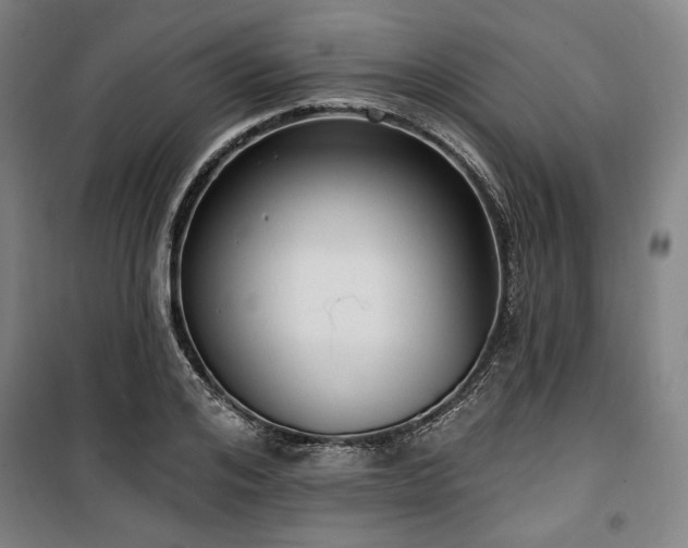 X0000100330984200806051530