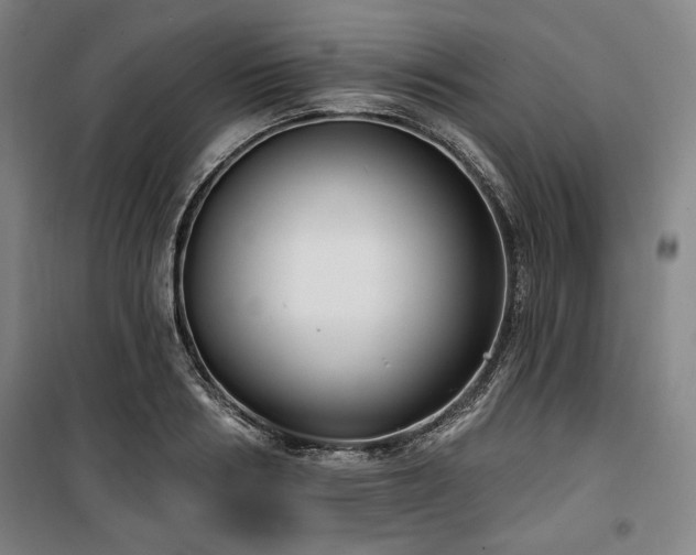 X0000100330986200806051530