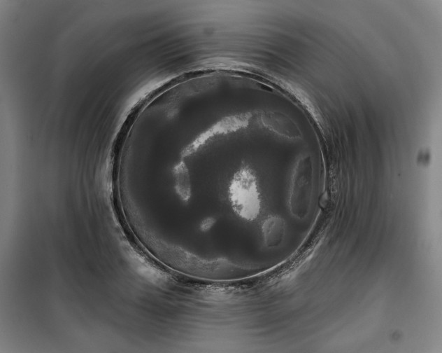 X0000100330987200806051530