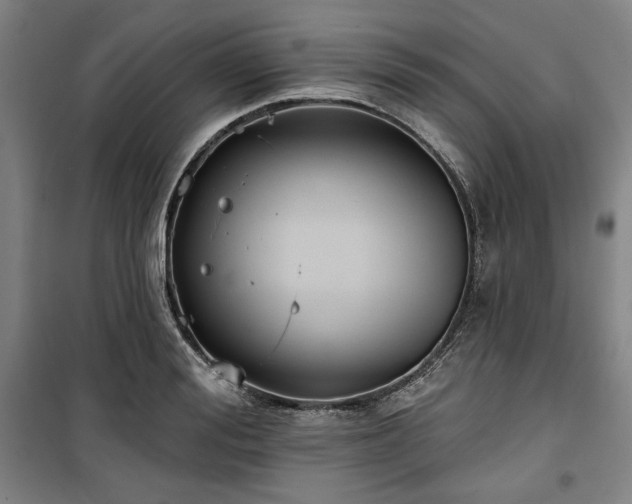 X0000100330988200806051530