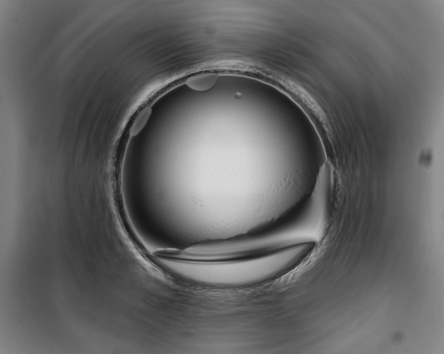 X0000100330989200806051530