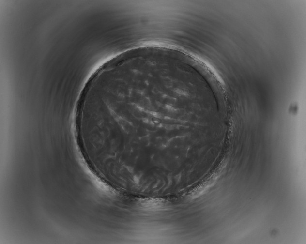 X0000100330991200806051530