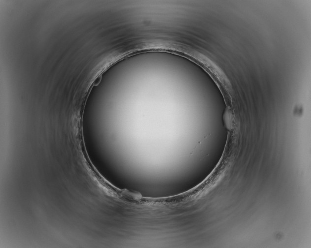 X0000100330993200806051530