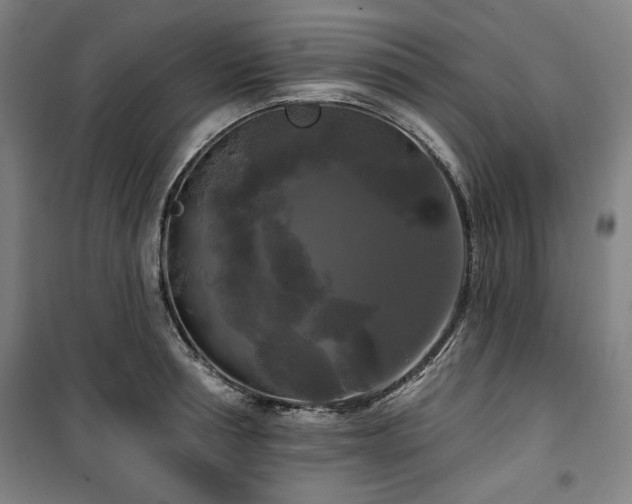 X0000100330994200806051530