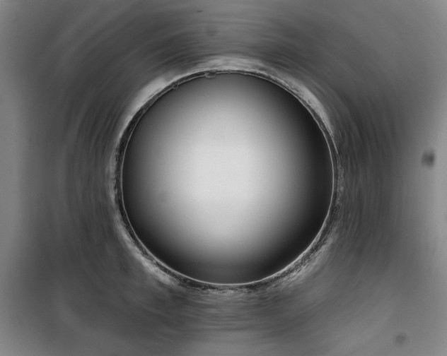 X0000100330997200806051530