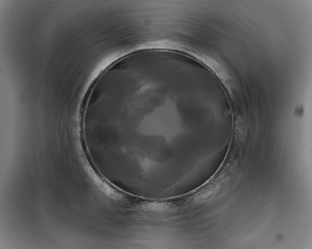 X0000100330998200806051530