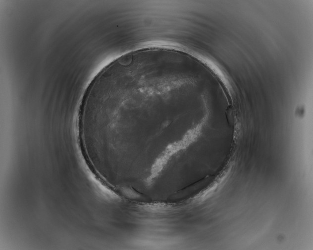 X0000100330999200806051530