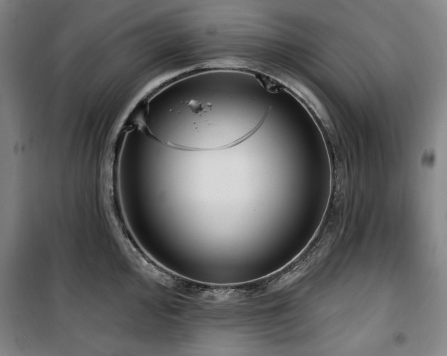 X0000100331000200806051530